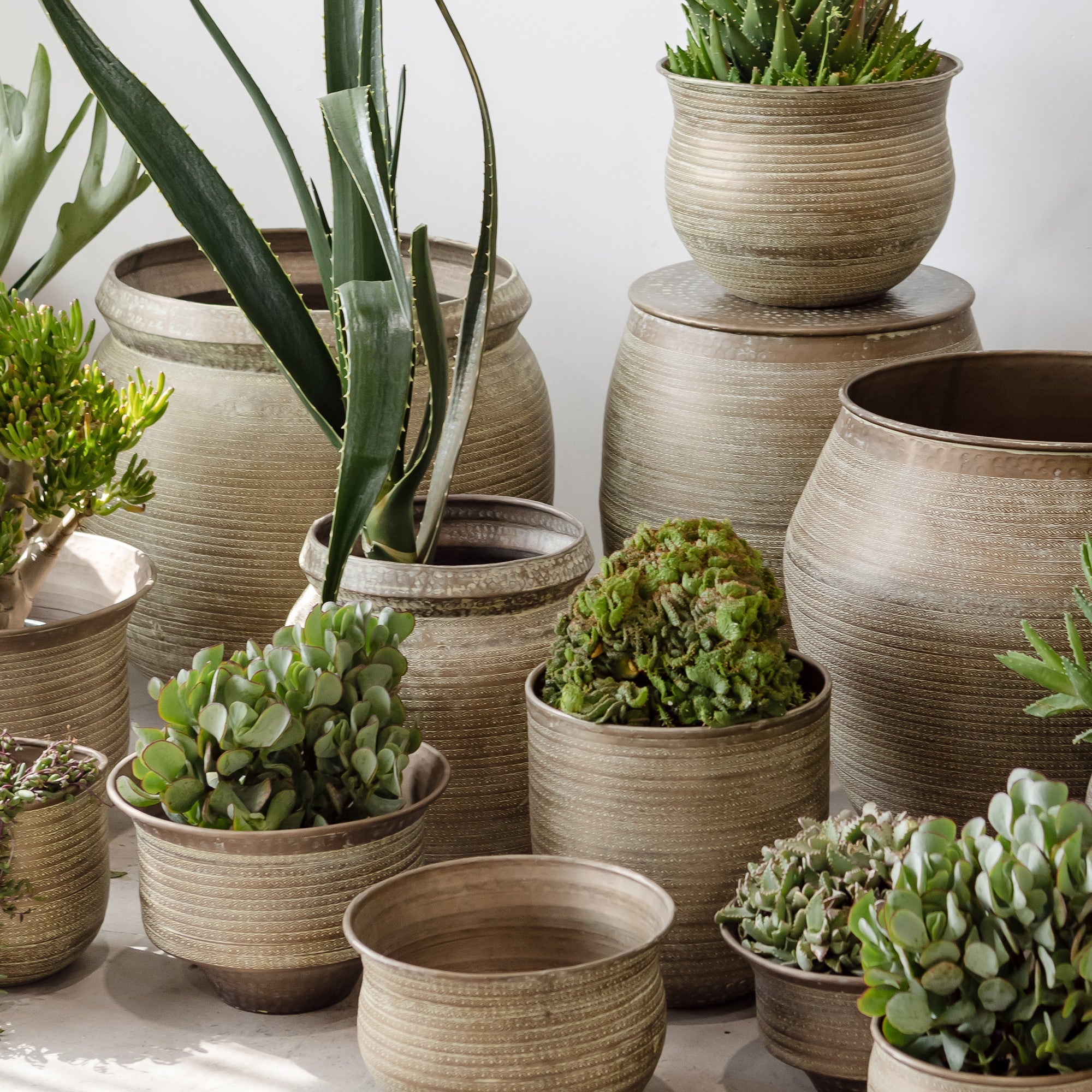 Empire Home Outlet Rustic Beaten Pot collection