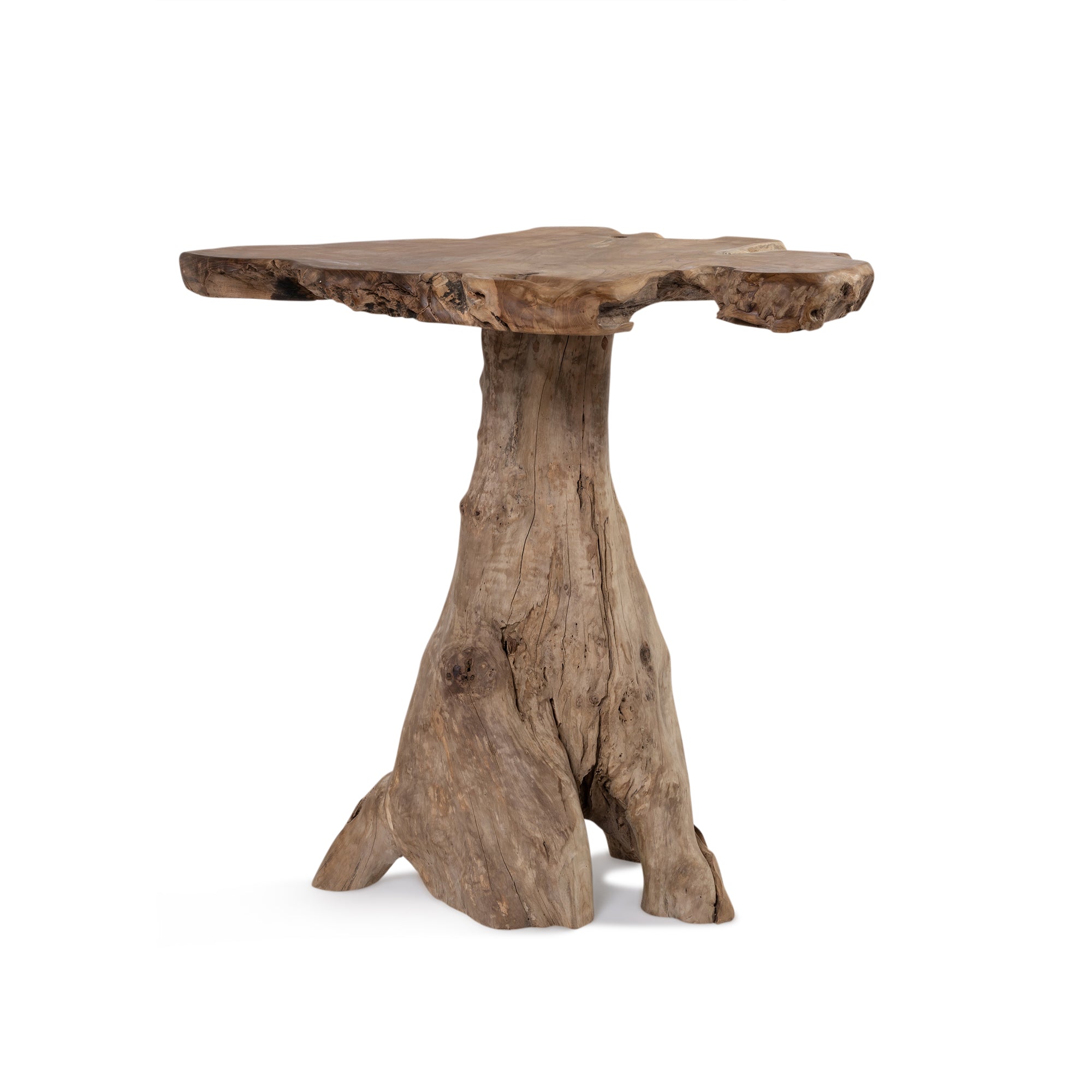 Fungi Bar Table - Raw