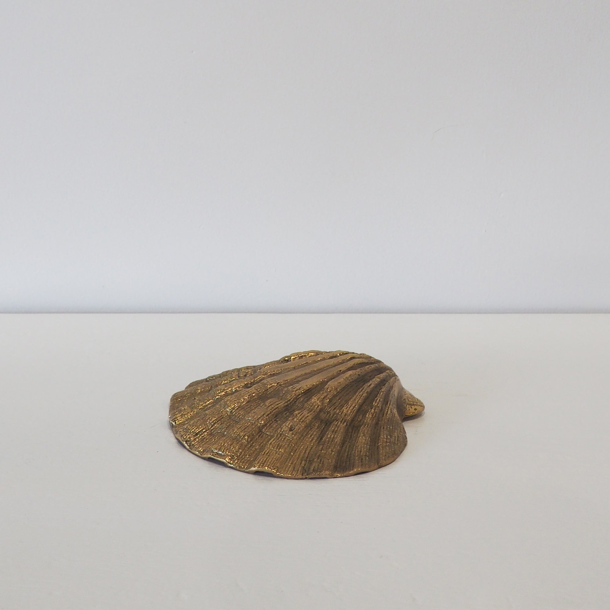 Brass Cockle Shell