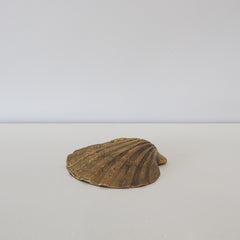 Brass Cockle Shell