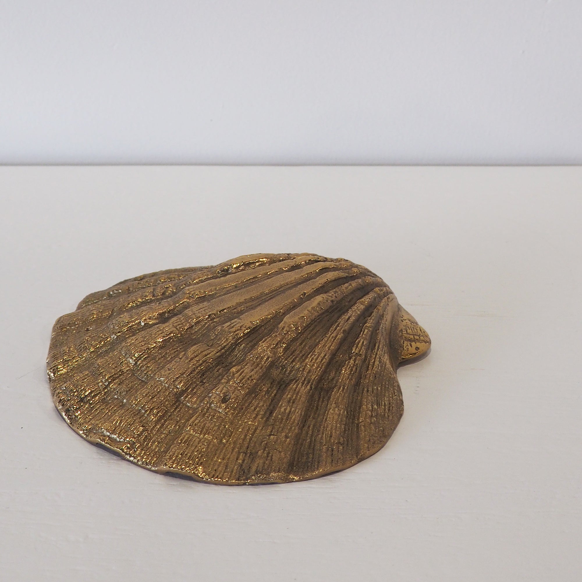 Brass Cockle Shell