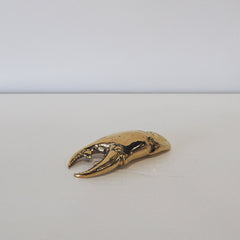 Crab Claw Bottle Opener