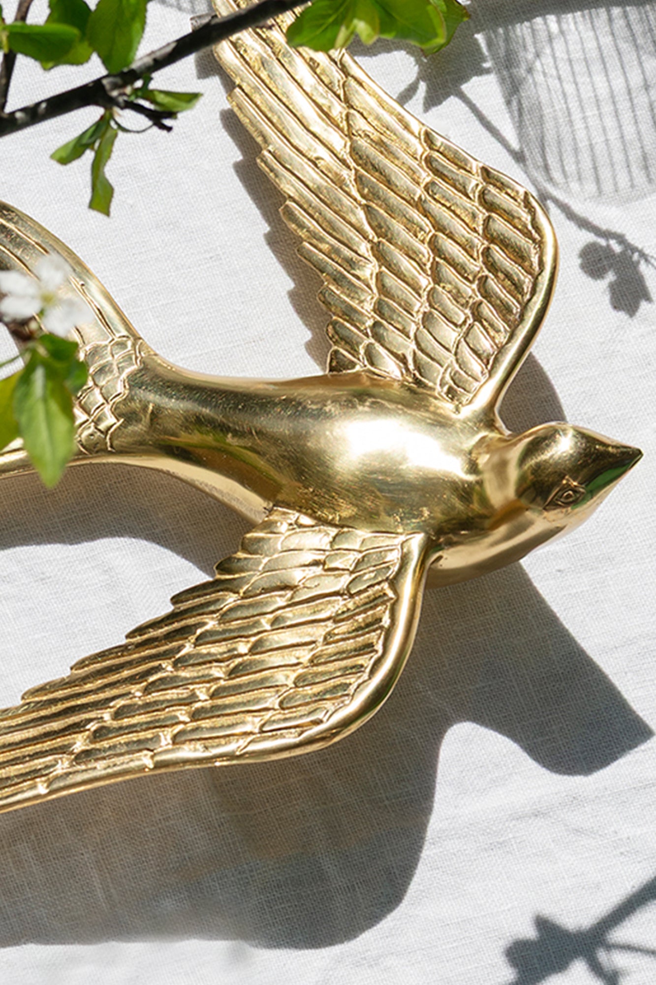 Brass Swallow