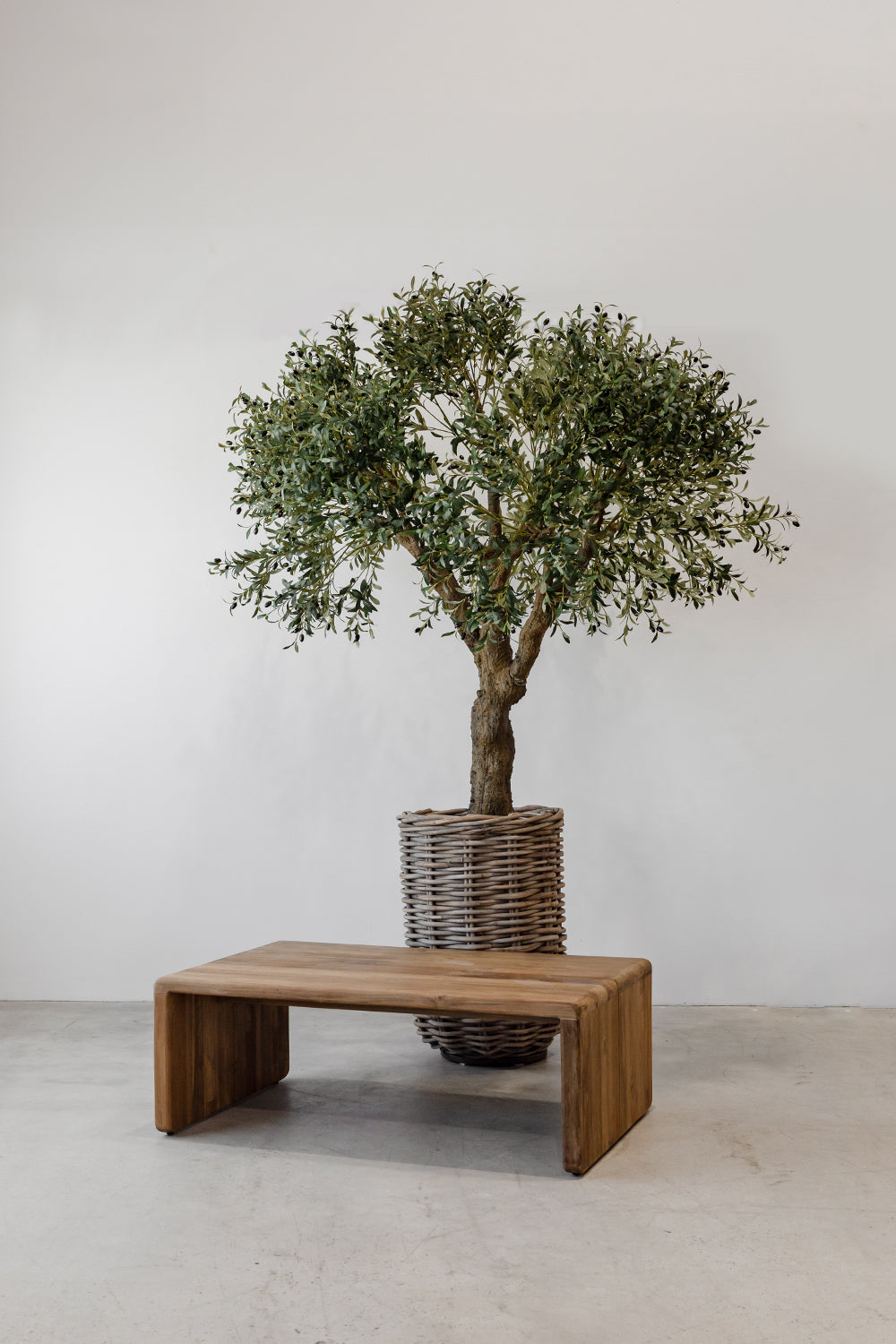 Wildwood Teak Coffee Table