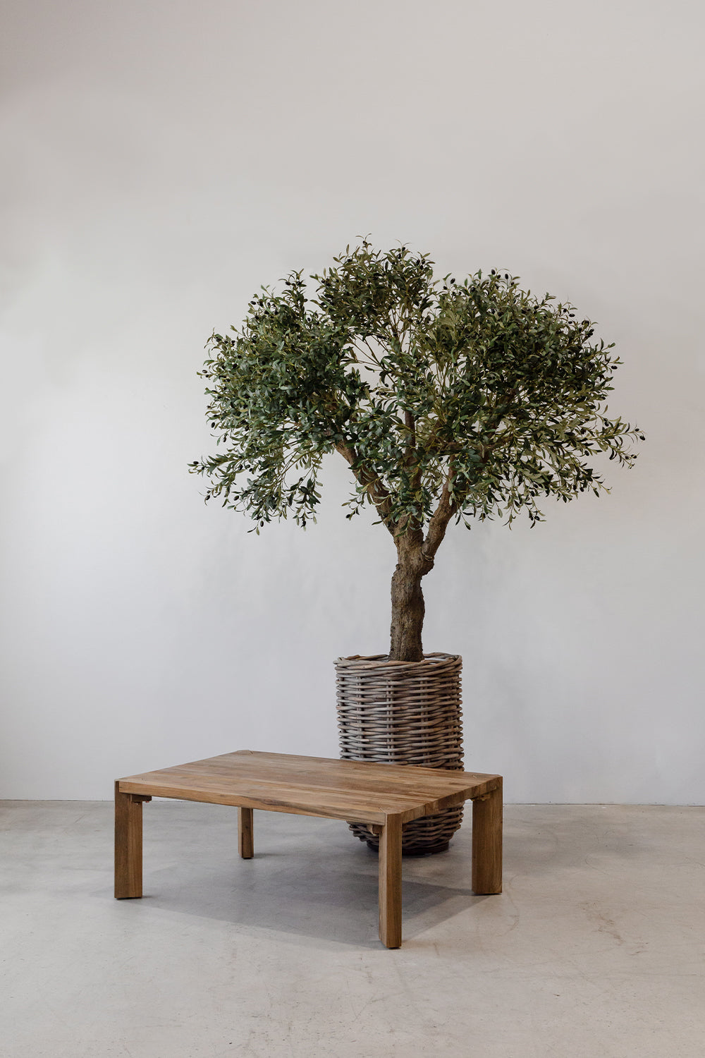 Jasper Teak Coffee Table - Raw