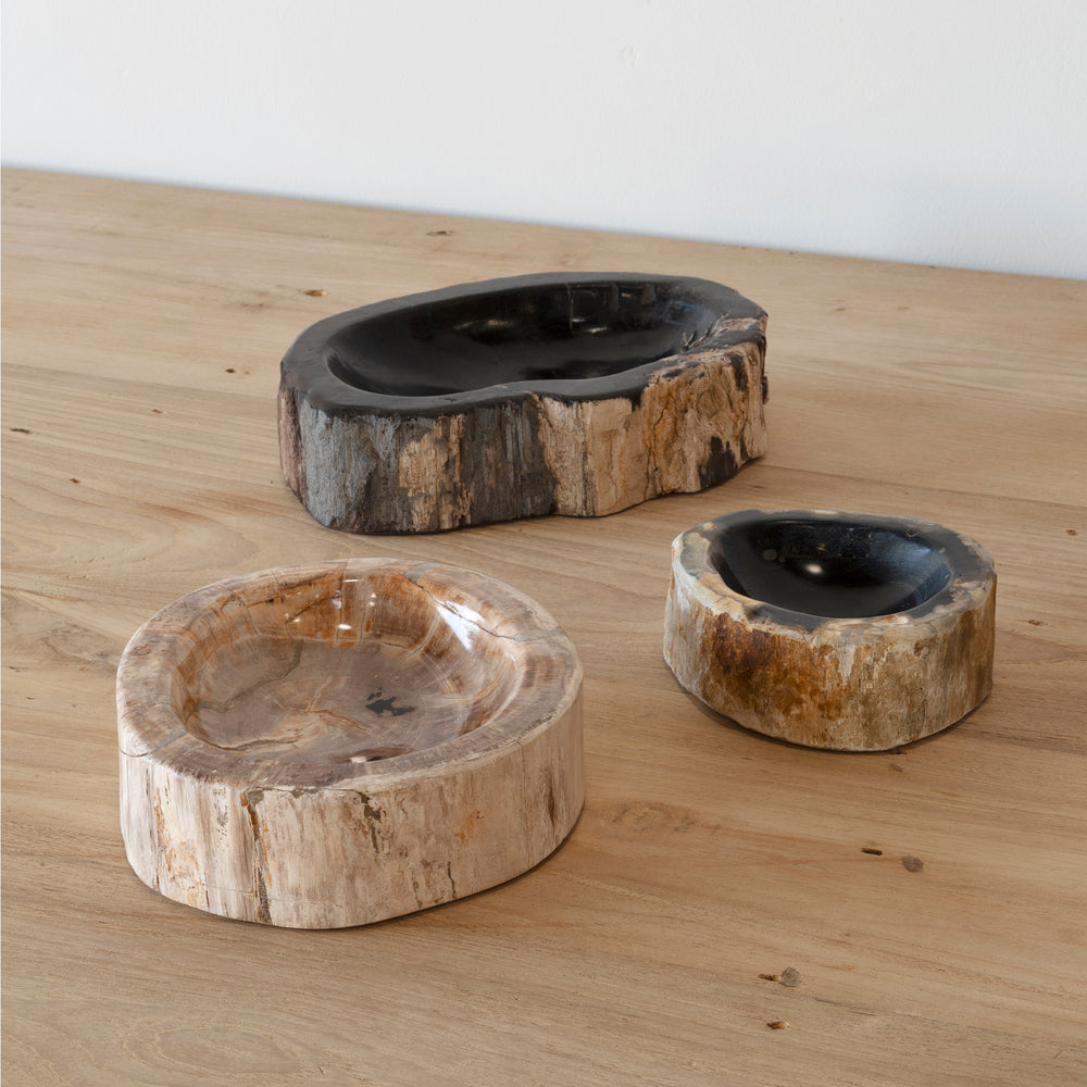 Fossil Asbak Bowl
