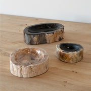 Fossil Asbak Bowl