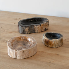 Fossil Asbak Bowl