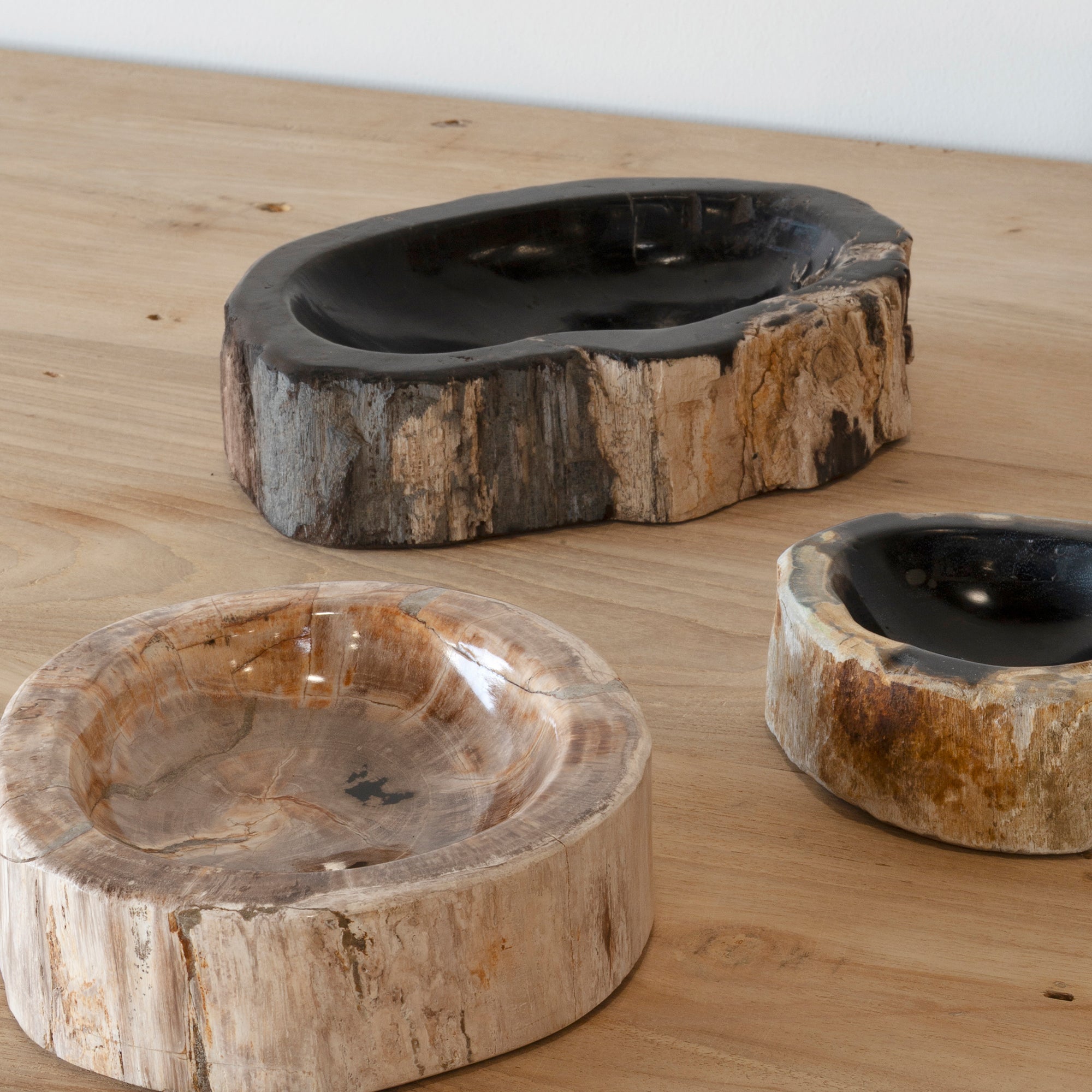 Fossil Asbak Bowl