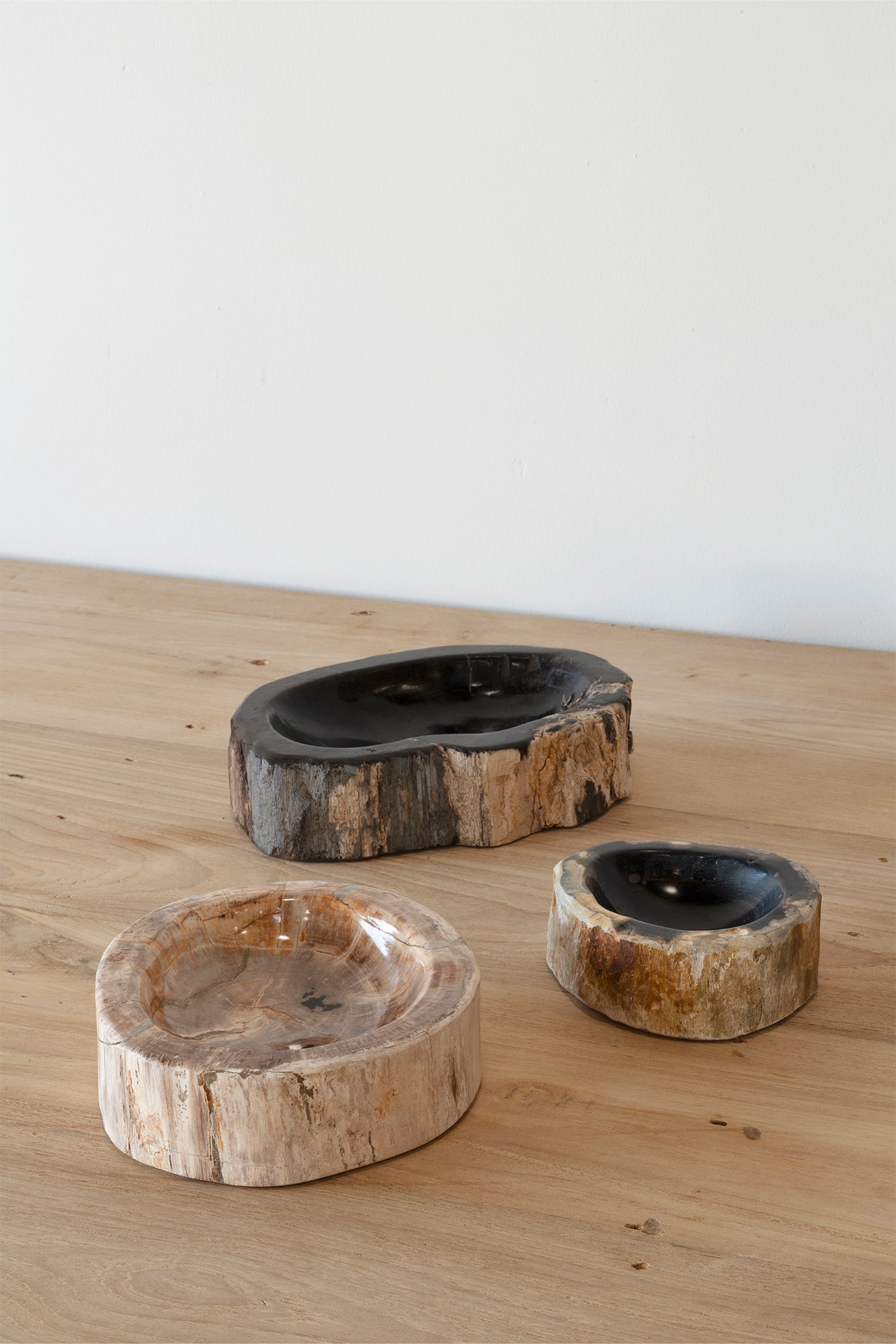 Fossil Asbak Bowl