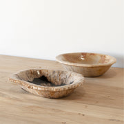 Fossil Bowl