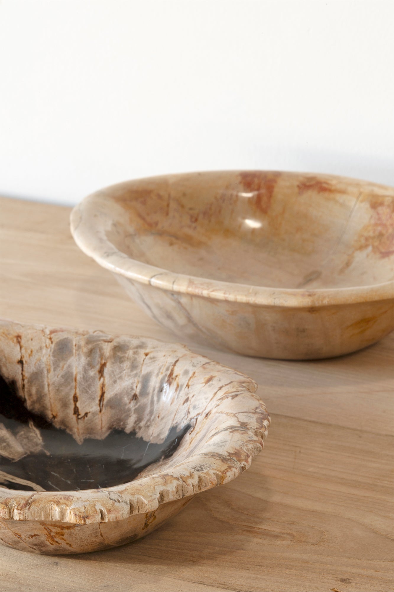 Fossil Bowl