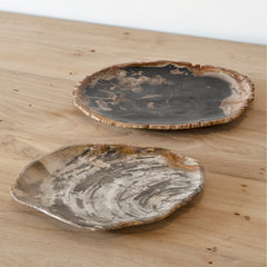 Fossil Plate