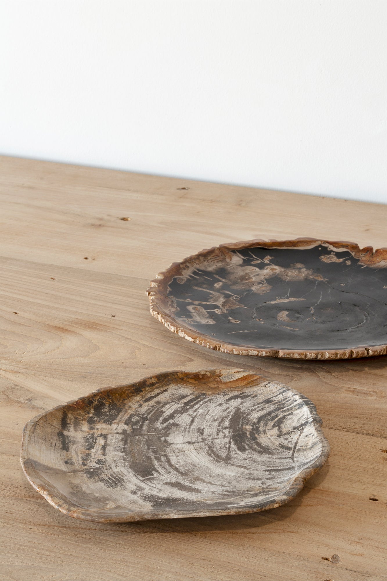 Fossil Plate