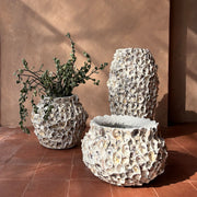 Oyster Shell Vessel