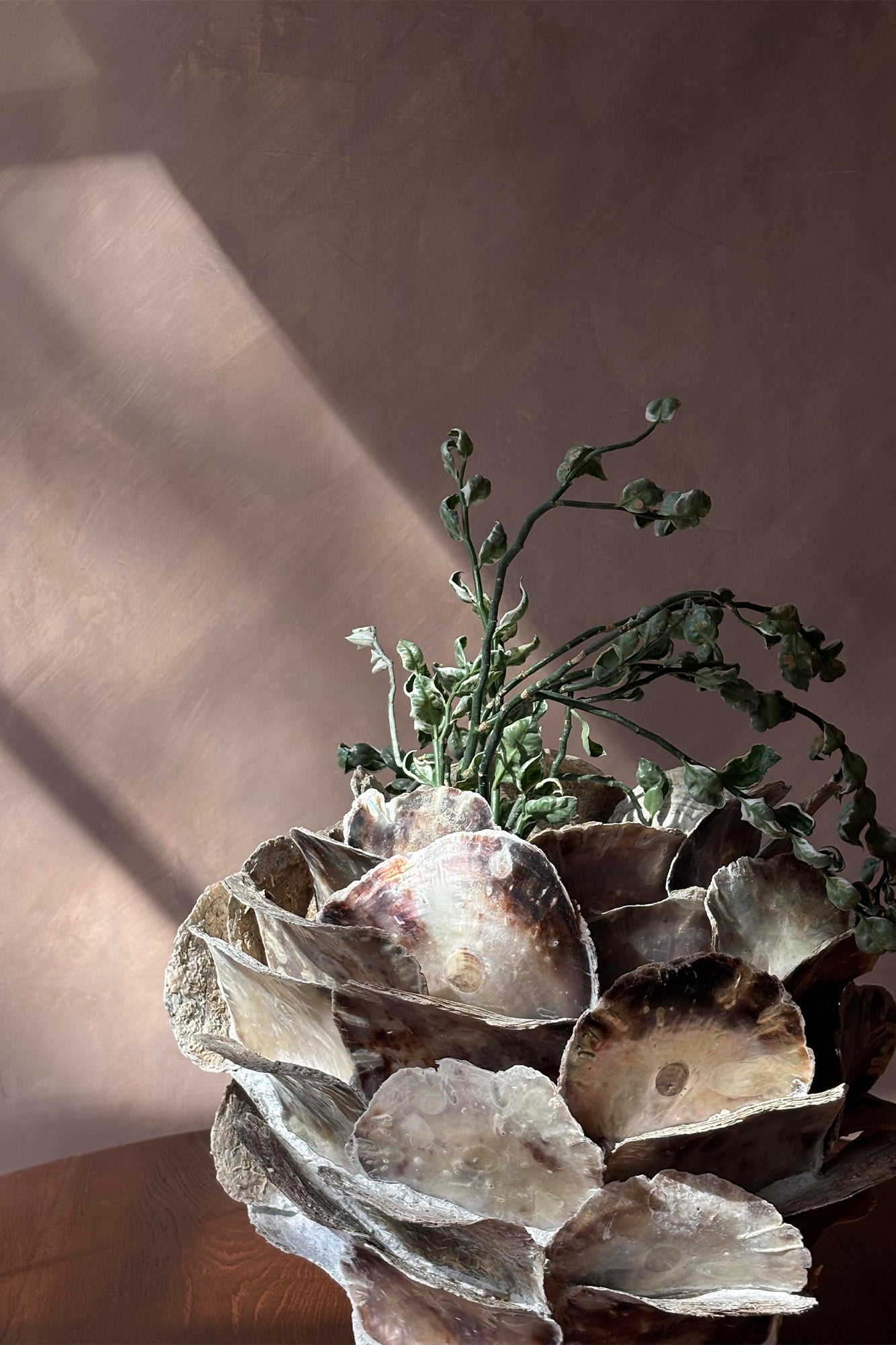 Scallop Shell Vessel