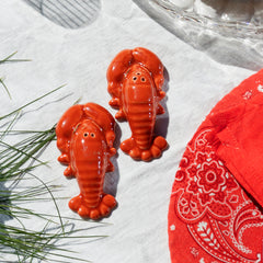 Marron Salt Pepper Shakers