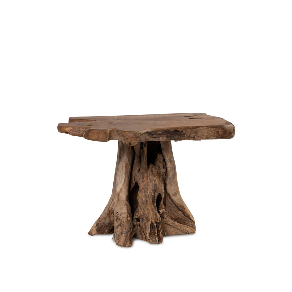 Fungi Coffee Table - Raw