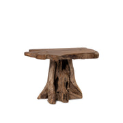 Fungi Coffee Table - Raw
