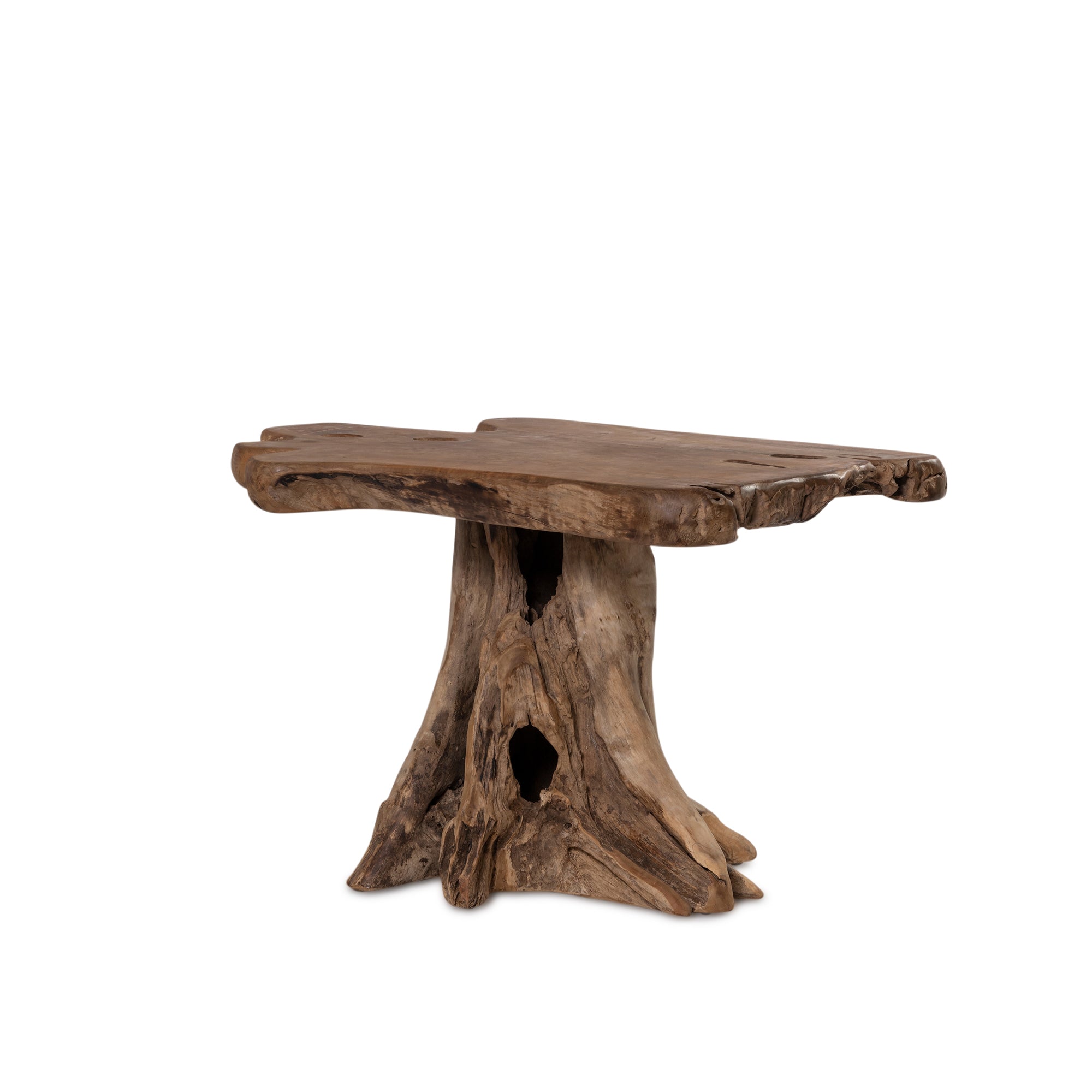 Fungi Coffee Table - Raw